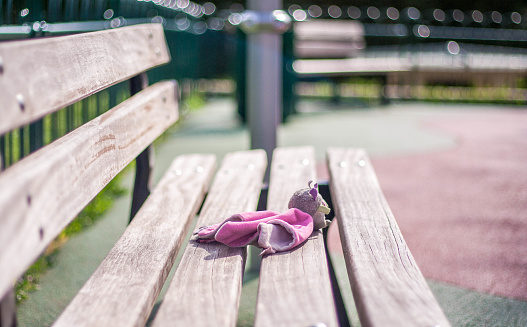 In a park, forgotten on a bench, this child's cuddly toy awaits the return of his companion