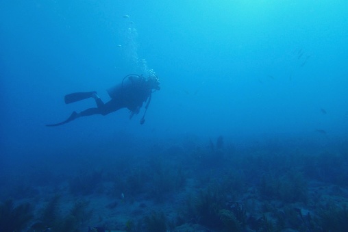Young Woman Scuba Diving in Dark Blue Water off of Key West
