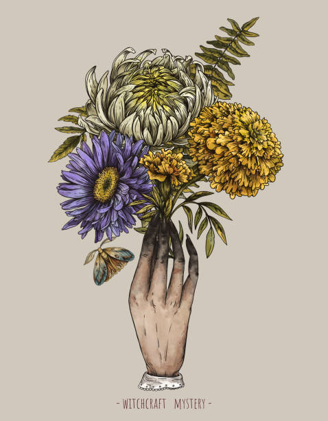 Vintage magic plants Blooming flowers with witch death hand, Witchcraft mystery hand-drawn occult illustration Vintage magic plants Blooming flowers with witch hand, Witchcraft mystery occult illustration isolated on beige background mandragora stock illustrations