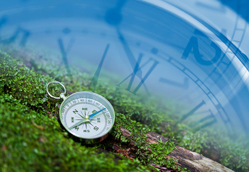 Compass on Mossy Rock in the Forest with  Pocket Watch Images