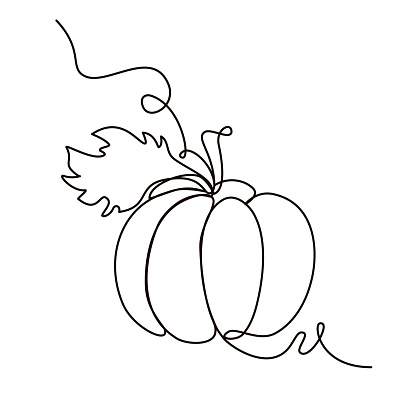 Pumpkin Continuous Line Drawing Halloween Autumn Harvest One Line isolated minimalistic trendy style Vector Illustration Black on White