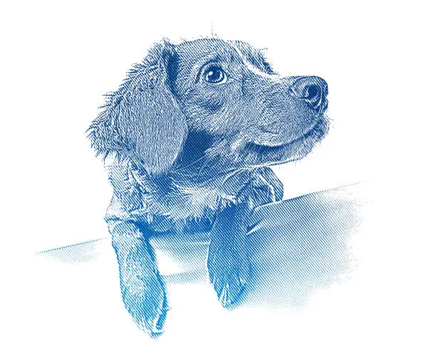 Vector illustration of Cute mixed-breed dog puppy