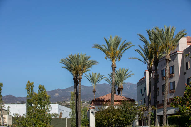 istock Lake Forest, California 1428134399