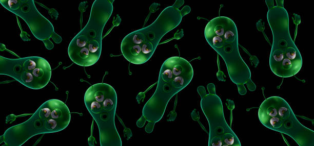 macrophoto of structures in green colored water soap bubble