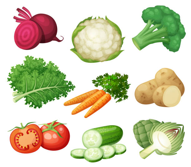 набор векторных иконок зеленых овощей, изолированных на белом фоне. му�льтяшная иллюстрация здоровой органической веганской пищи - tomato isolated freshness white background stock illustrations