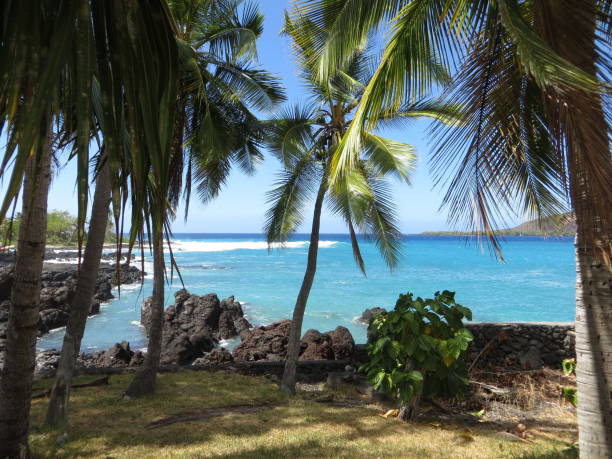 istock Kealakeakua Bay on Hawaii Island 1428140703