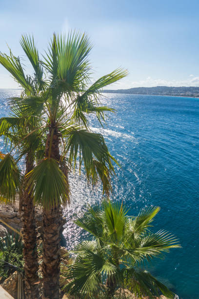 baia degli angeli, nizza, francia - city of nice france french riviera promenade des anglais foto e immagini stock