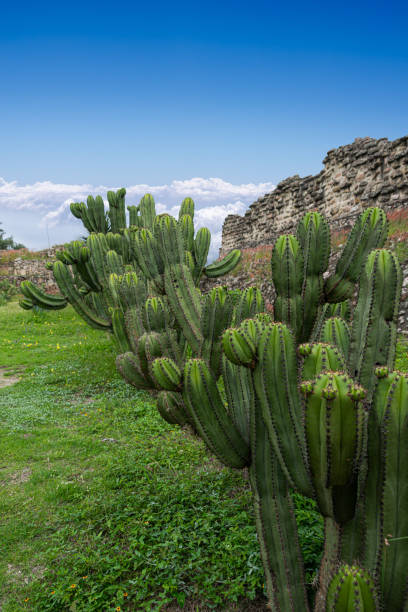 istock Archeaological site of Mitla, in Oaxaca, Mexico 1428148743