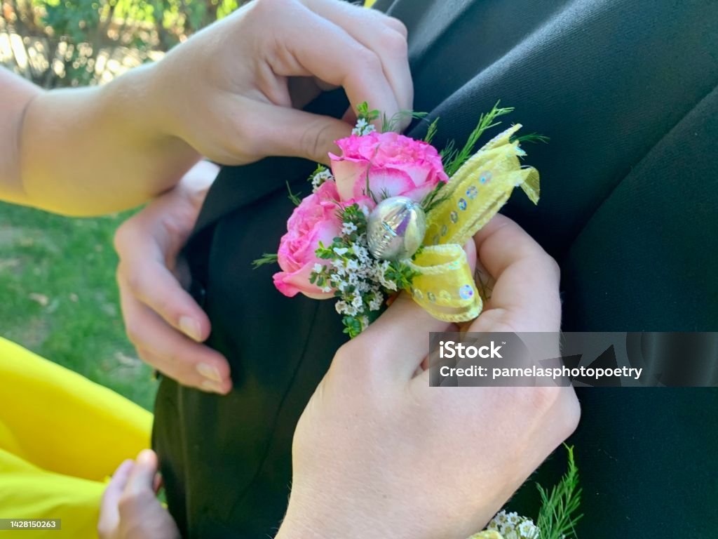 Pinning Boutonnière on Suit Lapel - stock photo Teenage female, age 17-18, pinning floral boutonnière on Homecoming date suit lapel. Teenage social etiquette tradition, high school social events memories, Senior year. Pinning Stock Photo