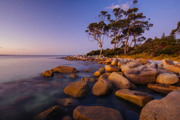 istock Binalong Bay Sunset in Tasmania Australia 1428150417