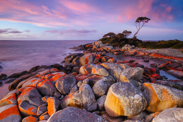 istock Binalong Bay Sunset in Tasmania Australia 1428150422