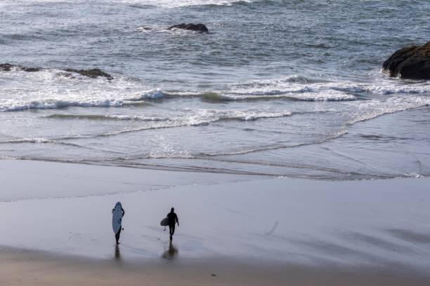 istock Surfers wading into the water looking for the perfect wave 1428150743