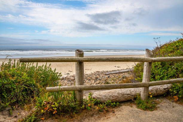 istock Beach Path Overlook at Cape Lookout, Oregon 1428155364