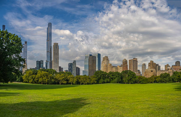 istock Central Park summer, Early morning 1428156559