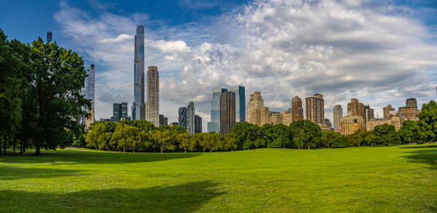 Central Park summer, Early morning stock photo