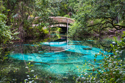 Natural clear fresh water oasis at Juniper springs with wooden bridge at Ocala national forest in central Florida, north of Orlando.