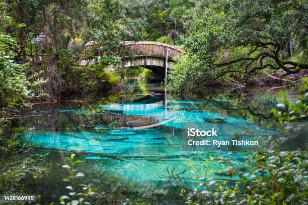 Natural Clear Fresh Water Oasis At Juniper Springs With Wooden Bridge At Ocala National Forest In Central Florida North Of Orlando Stock Photo - Download Image Now