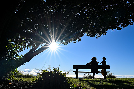 Mother and son in silhouette share a happy moment on a park bench beside the ocean and under a large, sheltering tree