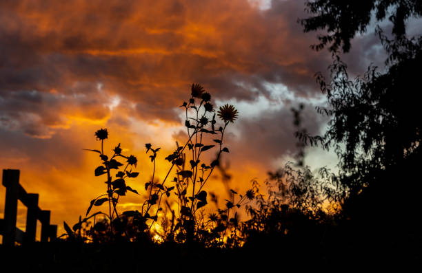 Colorado Living. Centennial, Colorado - Denver Metro Area Residential Fall Sunset Sky View