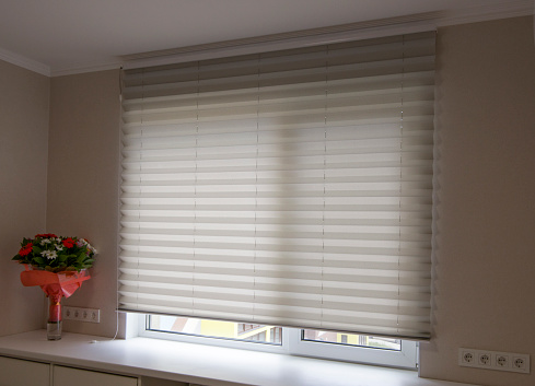 Pleated blinds XL, white color, with 50mm fold close up in the window opening in the interior. Luxury sun protection and window decoration. Modern shades.