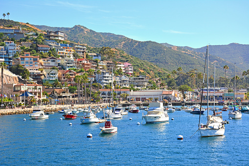 Boats in Avalon Harbor with homes on the hillside in Santa Catalina Island off the coast of Southern California