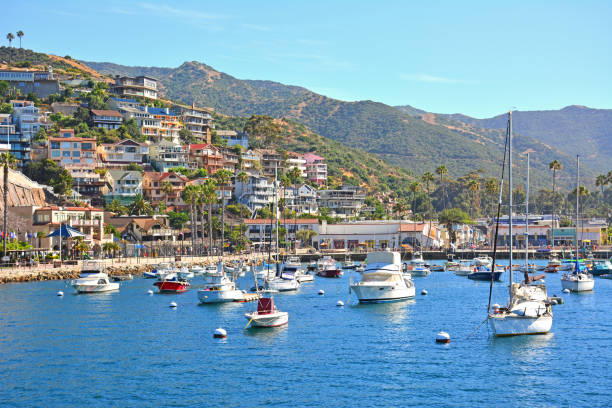 Boats in Avalon Harbor with homes on the hillside in Santa Catalina Island off the coast of Southern California Boats in Avalon Harbor with homes on the hillside in Santa Catalina Island off the coast of Southern California marina california stock pictures, royalty-free photos & images