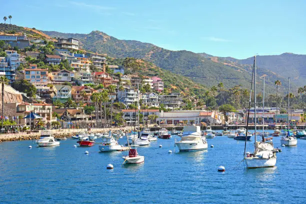 Photo of Boats in Avalon Harbor with homes on the hillside in Santa Catalina Island off the coast of Southern California