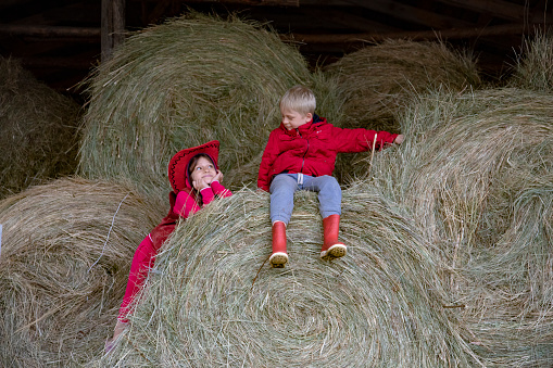 Boy and girl playing in the hayloft