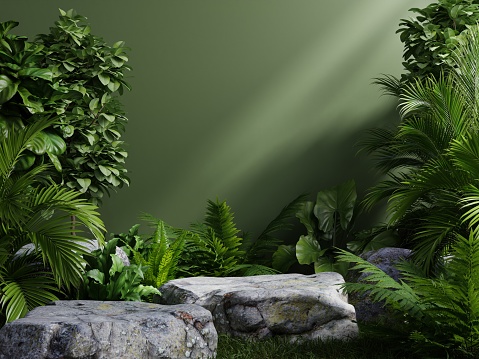 istock Stone platform in tropical forest for product presentation and green wall. 1428199273