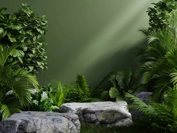 Photo of Stone platform in tropical forest for product presentation and green wall.