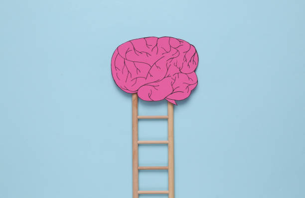 istock Paper cut brain with ladder on blue background. Education concept 1428199512