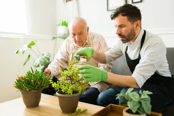 istock Elderly caucasian father doing gardening with his attractive son 1428204555