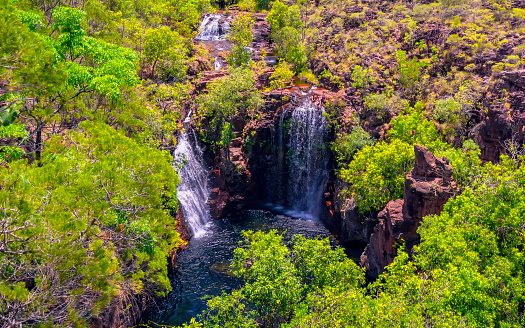 A view of the Florence Falls from an observation area above the falls.