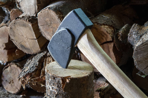 istock An axe against a background of firewood. 1428231294