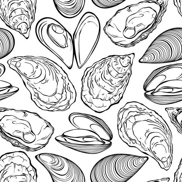 austern und muscheln. vektor nahtlose hintergrundmuster auf weiß. illustration des lebensmittelvektors. vorlagen für menügestaltung, verpackung, restaurants und catering. perfekt für tapeten, verpackungen, stoffe und textilien. - auster stock-grafiken, -clipart, -cartoons und -symbole