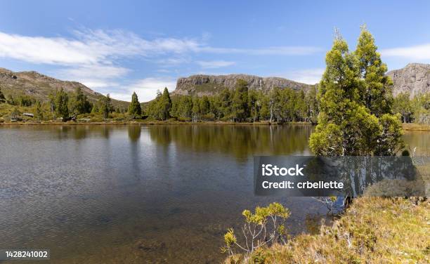Summer Morning Shot Of The Pool Of Siloam And Pencil Pines At Walls Of Jerusalem Stock Photo - Download Image Now