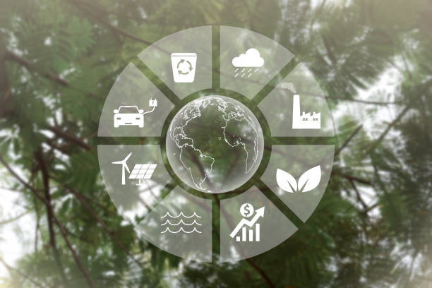 istock Global symbol eco Sustainable business on network connection on green tree background environmental icon ESG and net zero concept. 1428242856