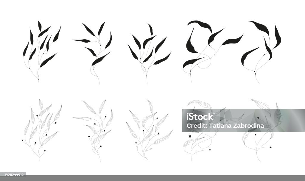 Frame Ranting Daun Daun Dan Ranting Pada Latar Belakang Putih Terisolasi Ilustrasi Stok ...