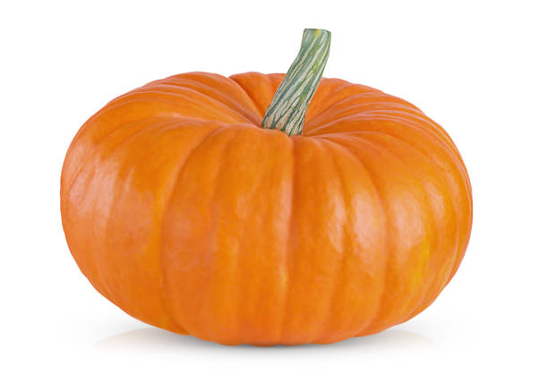 istock ripe pumpkin isolated on a white background with shadow and reflection 1428251575