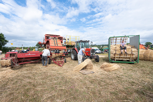 Ilminster.Somerset.United Kingdom.August 21st 2022.Enthusiasts are operating e restored vintage threshing machine at a Yesterdays Farming event