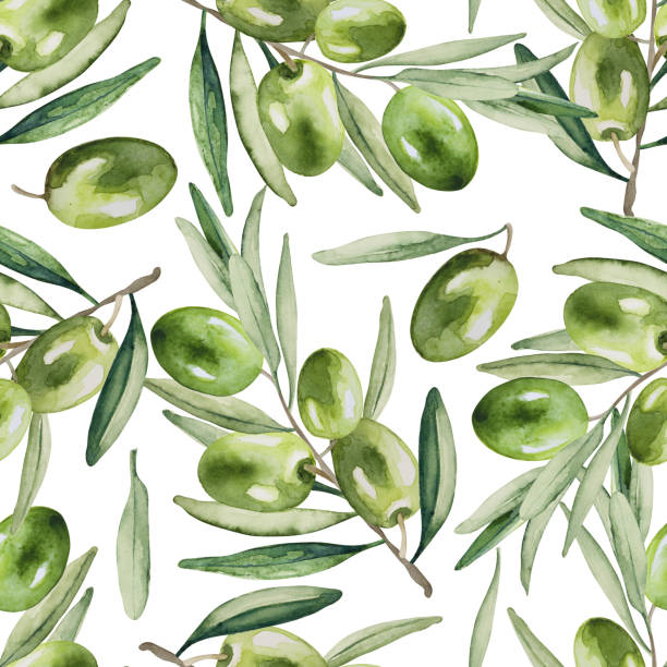 bezszwowy wzór świeżych zielonych oliwek i liści na białym tle. ręcznie rysowana akwarela. - olive green illustration and painting backgrounds watercolor painting stock illustrations