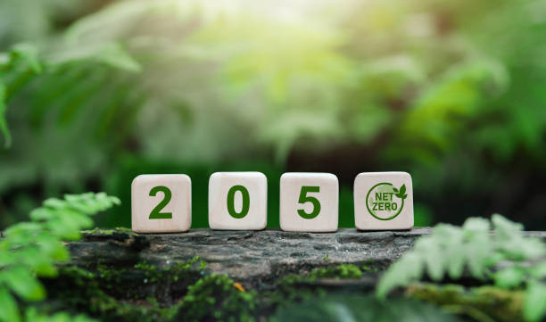 net zero by 2050 on wood block, carbon neutral and net zero concept natural environment Zero net greenhouse gas emissions target Weather No toxic gases Clean air