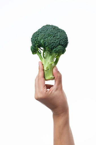 Unrecognizable female is holding broccoli in hand in front of pure white background.