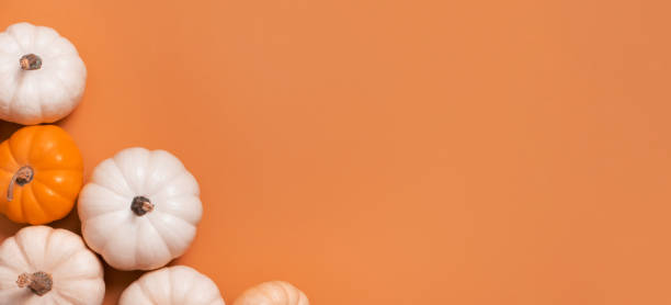 Banner with group of decorative pumpkins top view on orange background. Autumn flat lay banner copy space