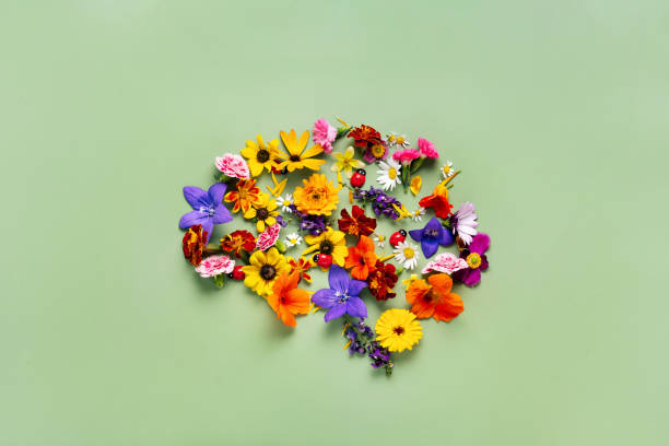 Human brain silhouette made with flowers on green background
