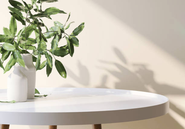 table d’appoint ronde blanche brillante moderne et minimale avec plateau en bois et brindille d’arbre en vase au soleil sur fond mural beige - table basse photos et images de collection