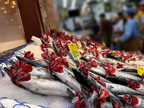 Fresh bonitos at the fish market in Kadıköy, in İstanbul