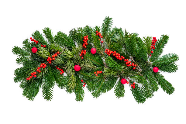 istock Christmas fir tree and holly berries arrangement isolated on white background copy space 1428264721