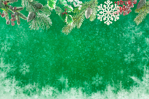 Christmas snowing background with top fir tree, snowflake, holly and copy space on green background and snow
