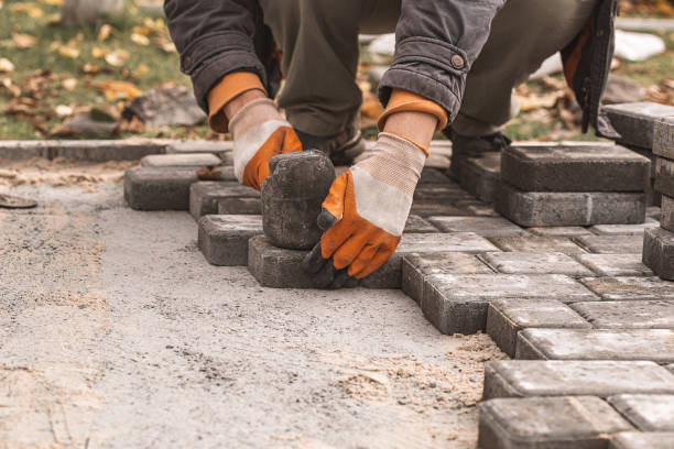 istock Laying paving slabs close-up. Road surface, construction. Sidewalk repair. Worker laying stone paving slab. Laying tiles in the city park garden . Manual fixed tessellated paving slabs 1428270037
